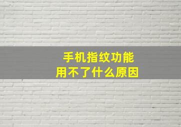 手机指纹功能用不了什么原因