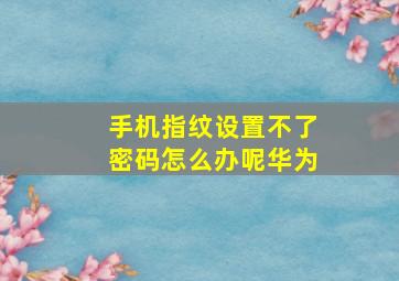 手机指纹设置不了密码怎么办呢华为