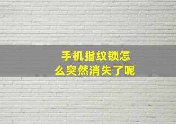 手机指纹锁怎么突然消失了呢