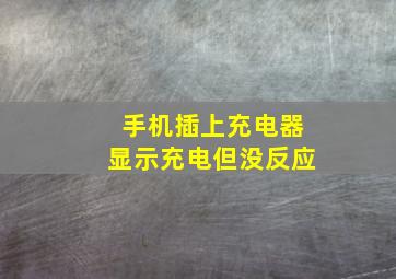 手机插上充电器显示充电但没反应