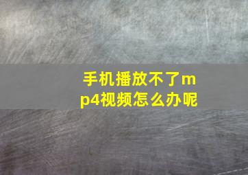 手机播放不了mp4视频怎么办呢