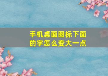 手机桌面图标下面的字怎么变大一点