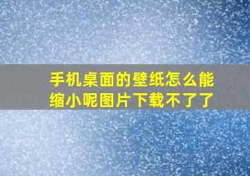 手机桌面的壁纸怎么能缩小呢图片下载不了了