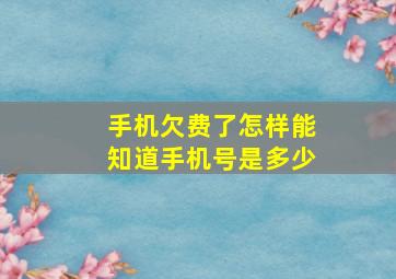 手机欠费了怎样能知道手机号是多少