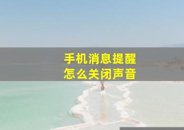 手机消息提醒怎么关闭声音