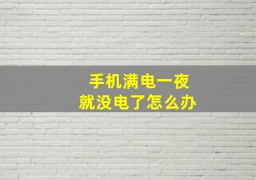 手机满电一夜就没电了怎么办