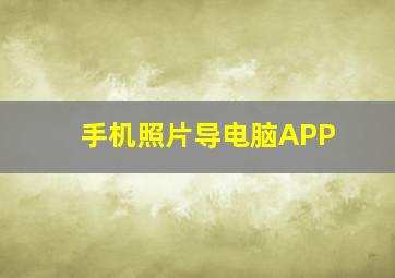 手机照片导电脑APP