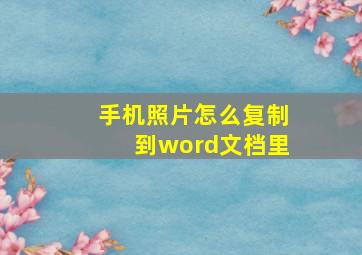 手机照片怎么复制到word文档里