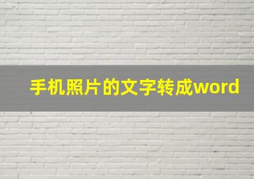 手机照片的文字转成word