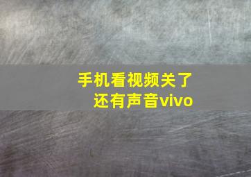 手机看视频关了还有声音vivo