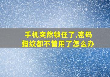 手机突然锁住了,密码指纹都不管用了怎么办