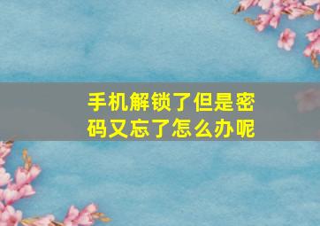 手机解锁了但是密码又忘了怎么办呢