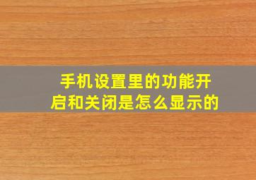 手机设置里的功能开启和关闭是怎么显示的