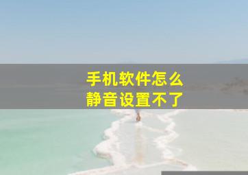 手机软件怎么静音设置不了