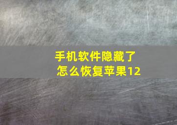 手机软件隐藏了怎么恢复苹果12