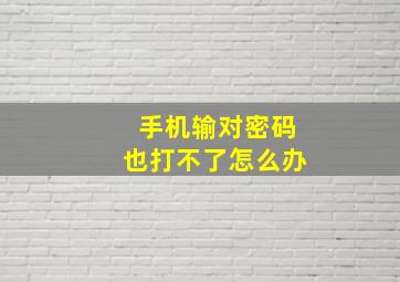 手机输对密码也打不了怎么办