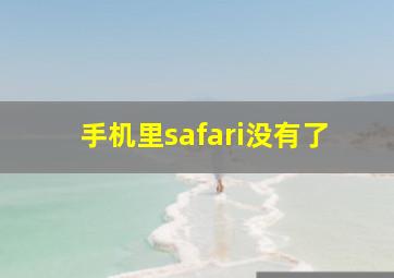 手机里safari没有了