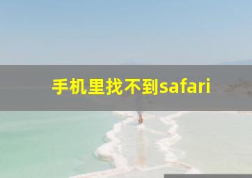 手机里找不到safari