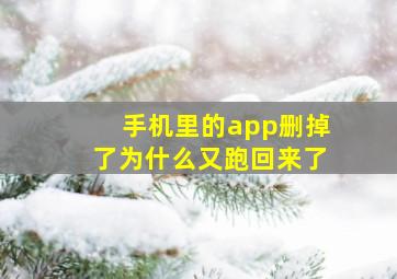 手机里的app删掉了为什么又跑回来了