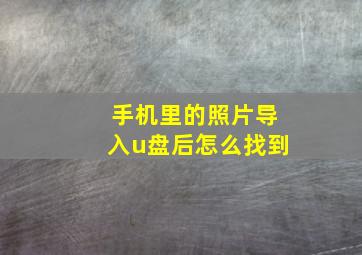 手机里的照片导入u盘后怎么找到