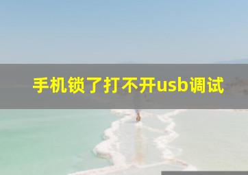 手机锁了打不开usb调试