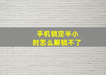 手机锁定半小时怎么解锁不了