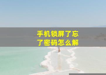 手机锁屏了忘了密码怎么解