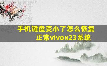 手机键盘变小了怎么恢复正常vivox23系统