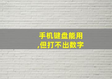 手机键盘能用,但打不出数字