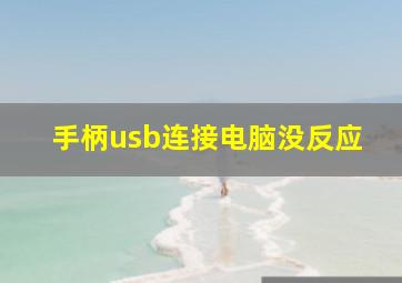 手柄usb连接电脑没反应