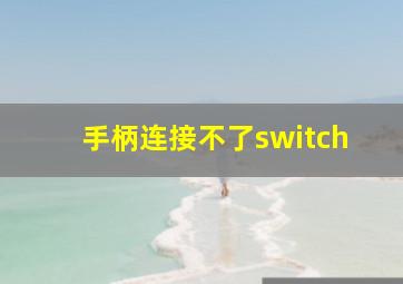 手柄连接不了switch