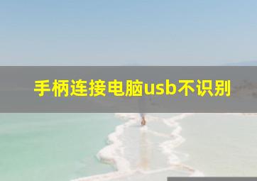 手柄连接电脑usb不识别