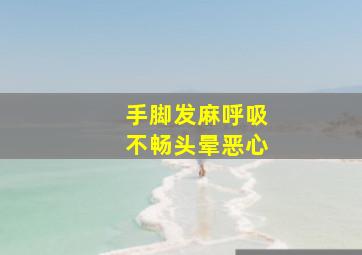 手脚发麻呼吸不畅头晕恶心