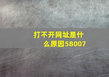 打不开网址是什么原因58007