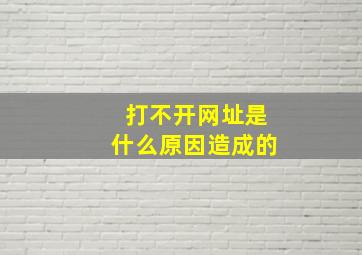 打不开网址是什么原因造成的