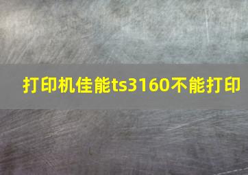 打印机佳能ts3160不能打印