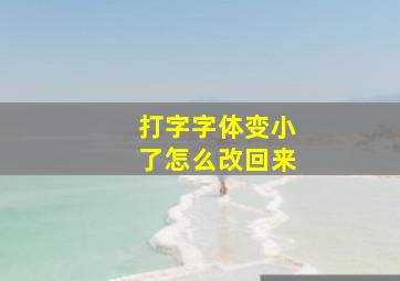 打字字体变小了怎么改回来