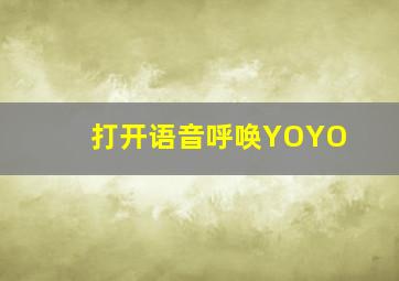 打开语音呼唤YOYO