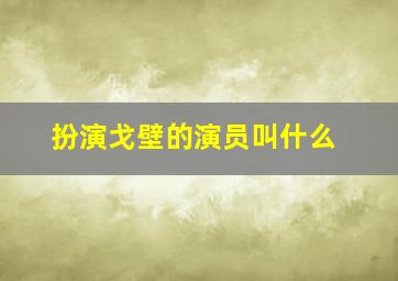 扮演戈壁的演员叫什么