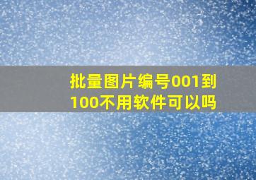 批量图片编号001到100不用软件可以吗