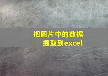 把图片中的数据提取到excel