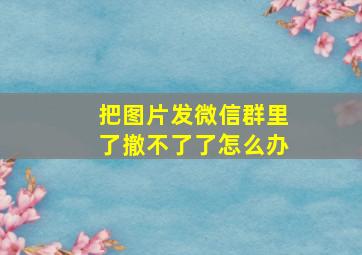 把图片发微信群里了撤不了了怎么办