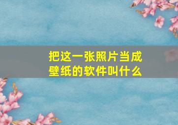 把这一张照片当成壁纸的软件叫什么