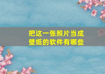 把这一张照片当成壁纸的软件有哪些