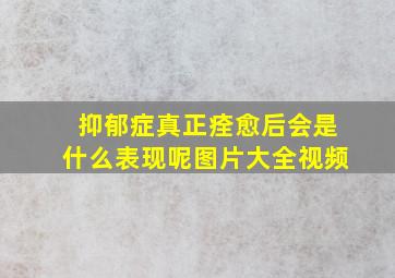 抑郁症真正痊愈后会是什么表现呢图片大全视频