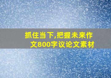 抓住当下,把握未来作文800字议论文素材