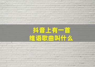 抖音上有一首维语歌曲叫什么