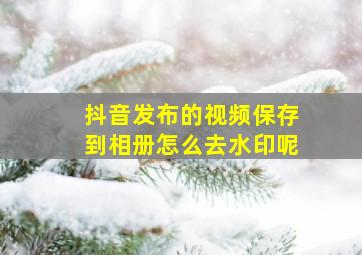 抖音发布的视频保存到相册怎么去水印呢