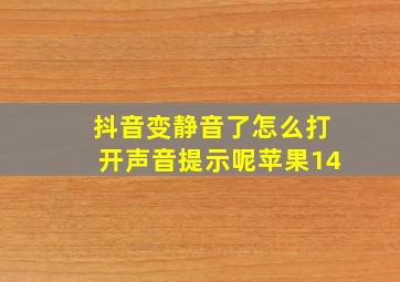 抖音变静音了怎么打开声音提示呢苹果14