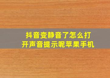 抖音变静音了怎么打开声音提示呢苹果手机